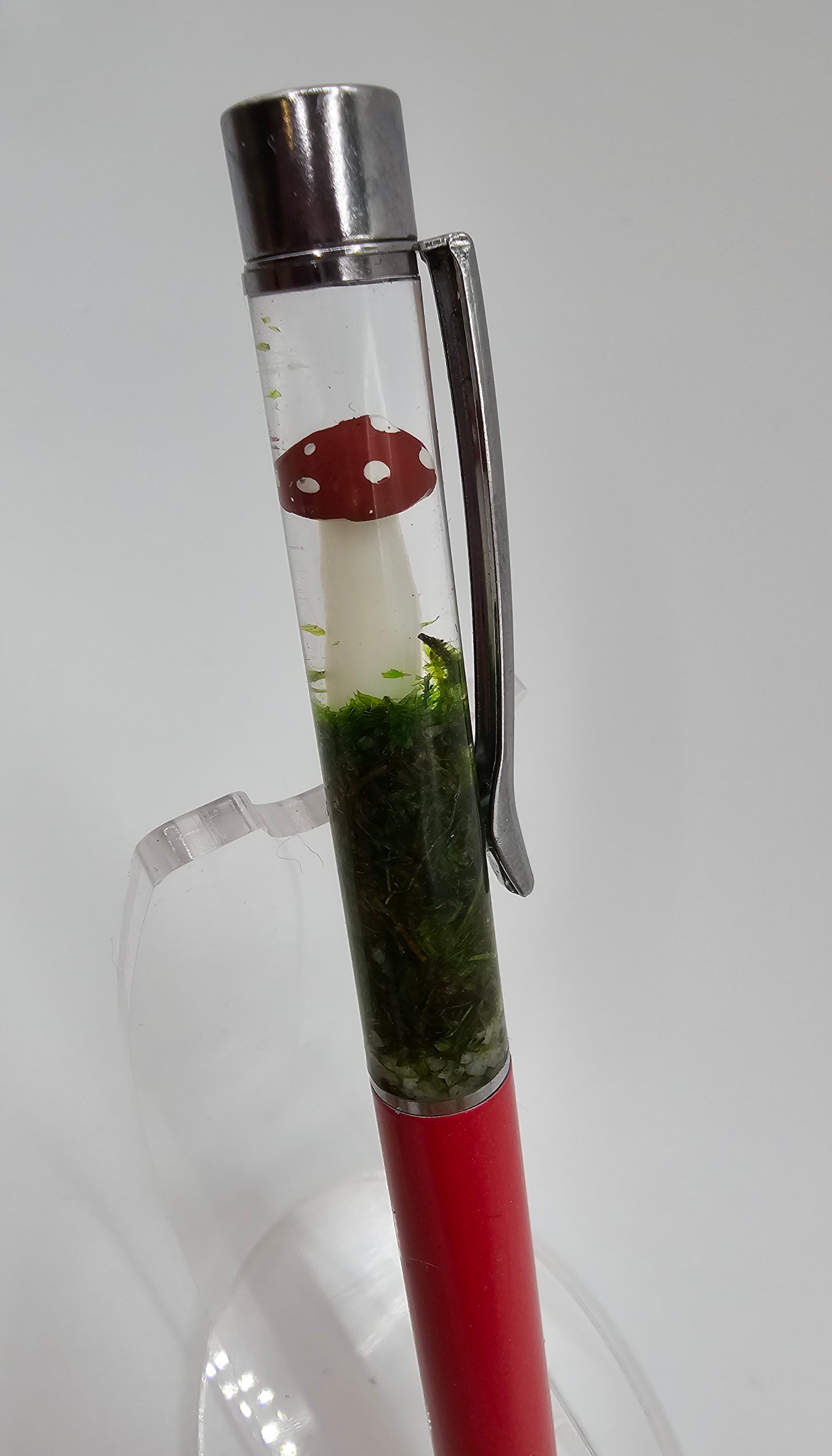 Terrarium Mushroom Pen