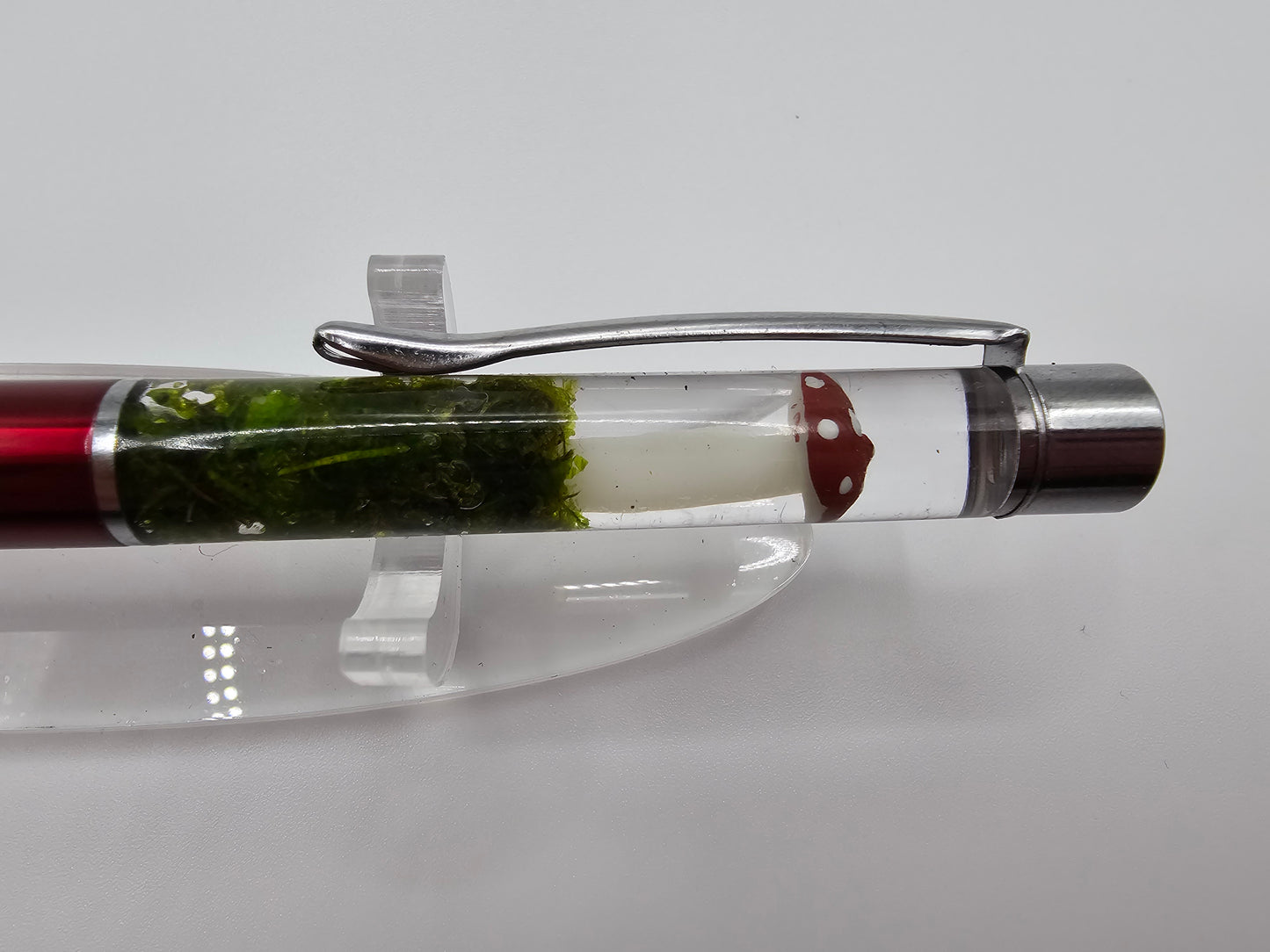 Terrarium Mushroom Pen